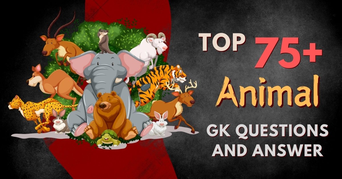 General Knowledge Animal Questions for Kids